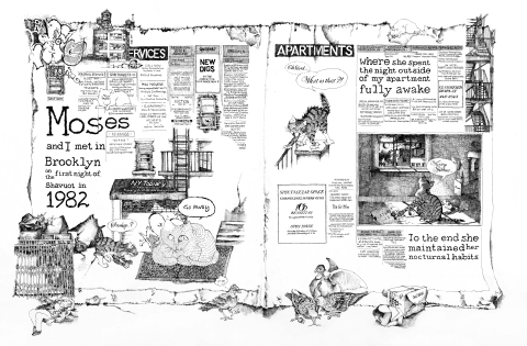 Newspaper style work describing how the author and her cat met in Brooklyn in 1982