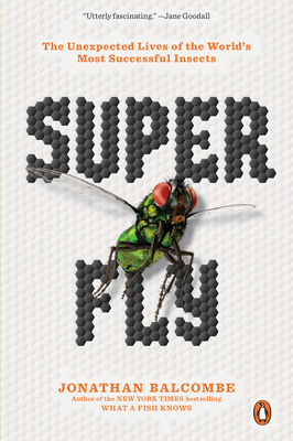 Cover of the book Super Fly with a hexagonal font and background. The foreground is of a fly. 