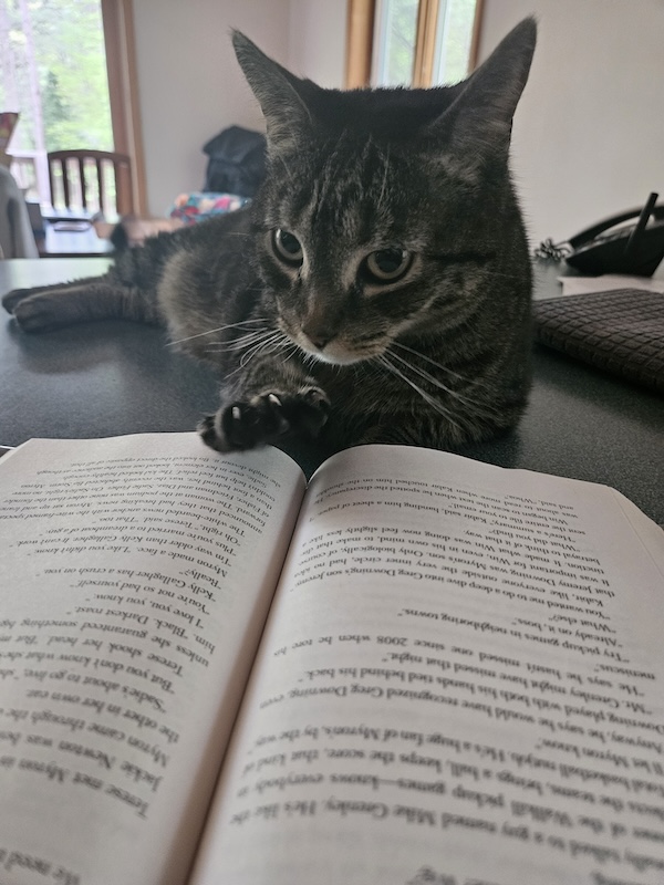 A gray tabby cat is stretched out with his paw sitting between the pages of a book.