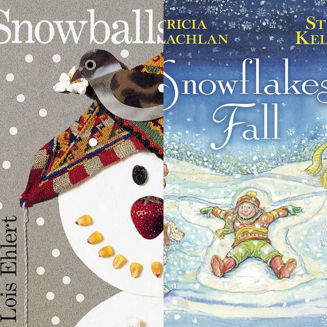 Snowballs by Lois Ehlert and Snowflakes fall by Patricia MacLachlan.