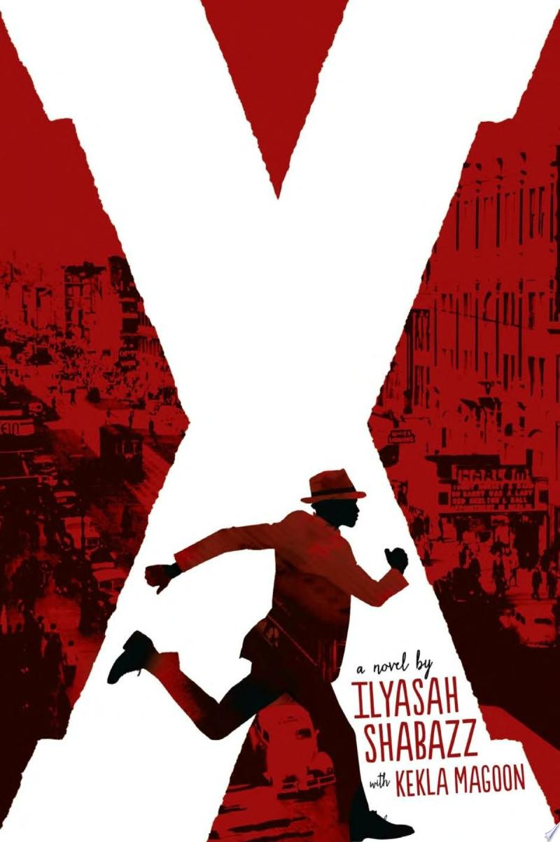 Image for "X: A Novel"