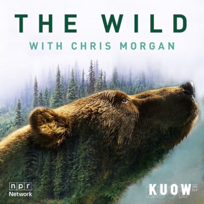 thewildwithchrismorgan