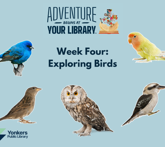 Week Four Adventure Begins at Your Library: Exploring birds. Pictures of several birds are on a blue background.