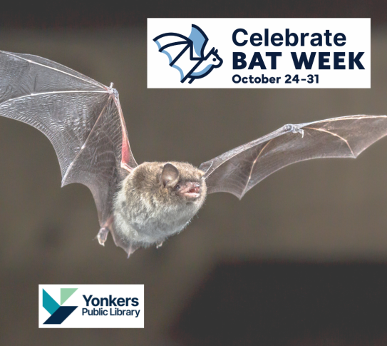 A bat flying in the air with the YPL Logo and the words Celebrate Bat Week, October 24-31.