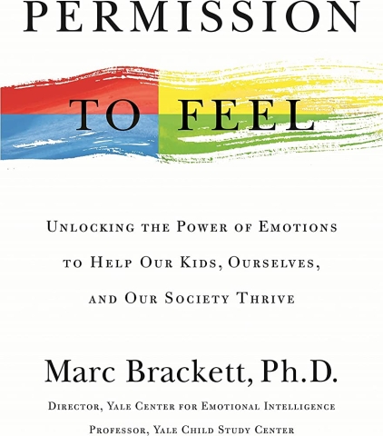 Image of cover of the book Permission to Feel