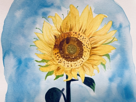Image of Say's painting of a sunflower