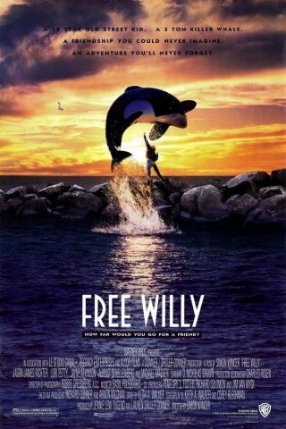 image of killer whale leaping above boy