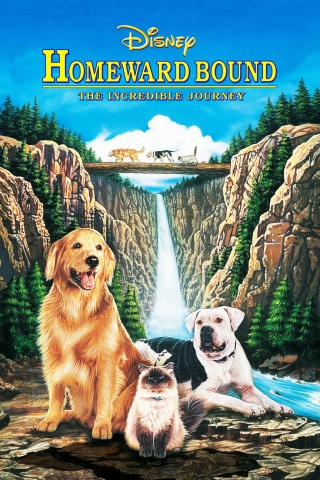 Golden retriever dog, himalayan cat, and bulldog in front of waterfall.