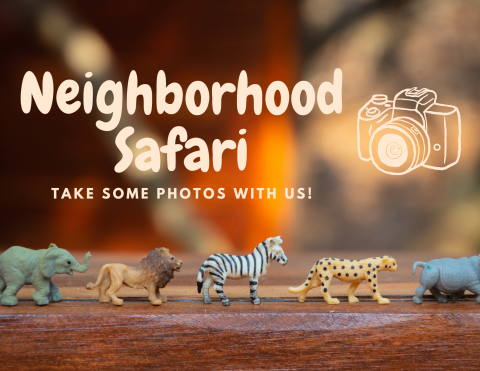 Image of neighborhood safari