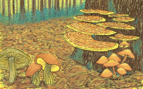 painting of mushrooms by Say Marte