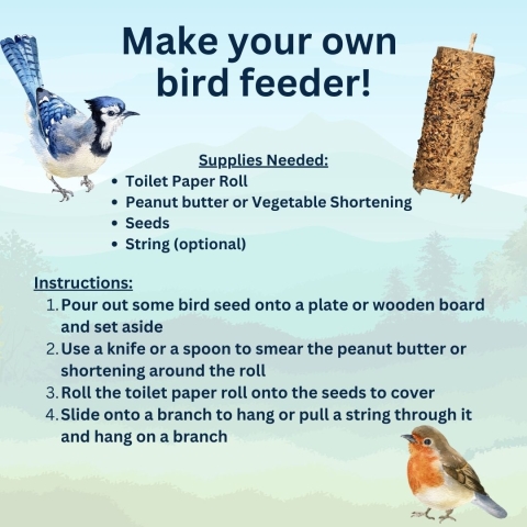 instructions to make your own birdfeeder