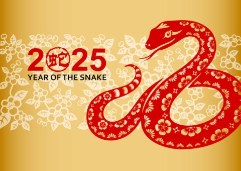 red snake on gold background with text "2025 year of the snake"