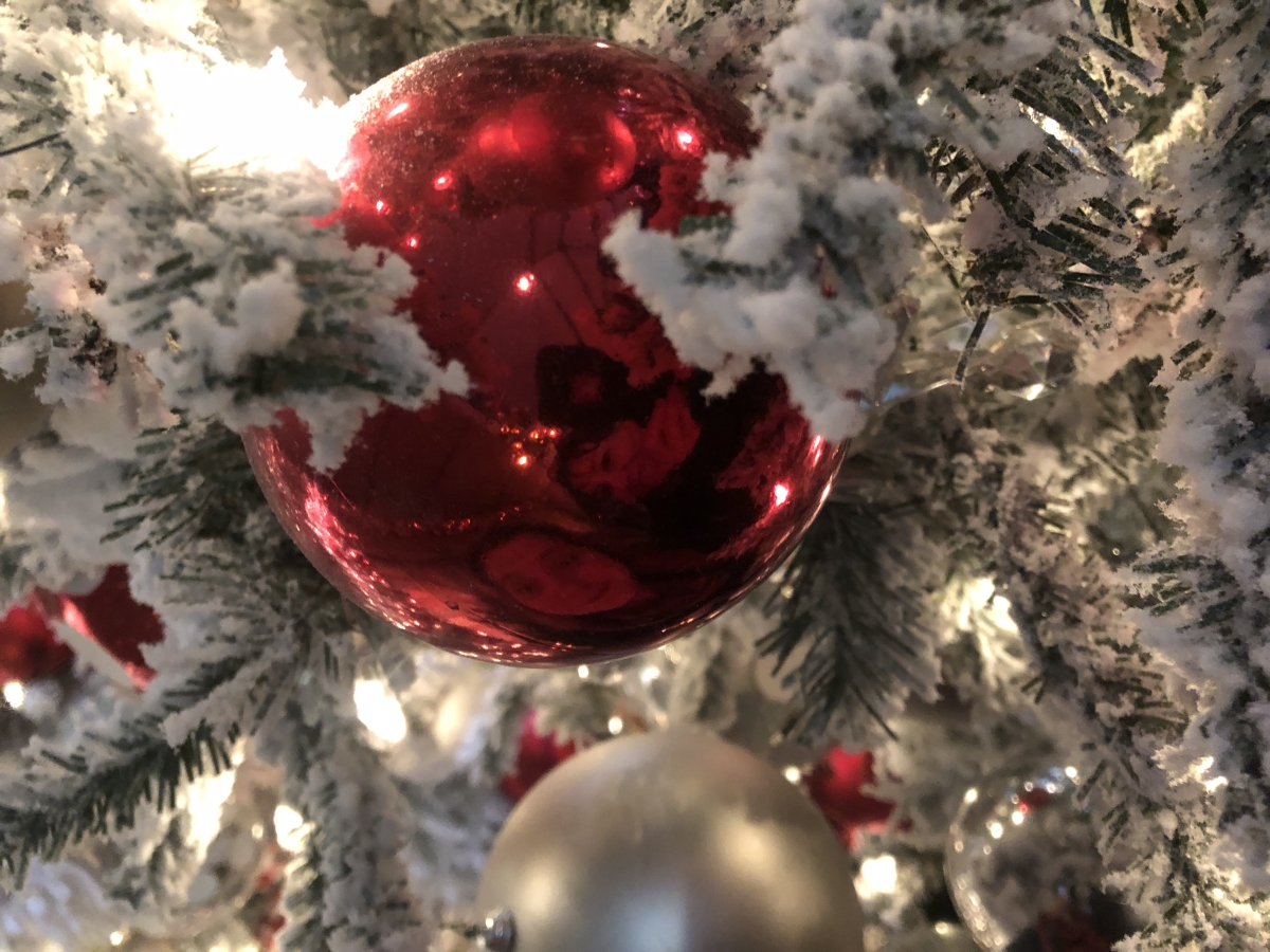 Image of a red ornament on snowy tree needles