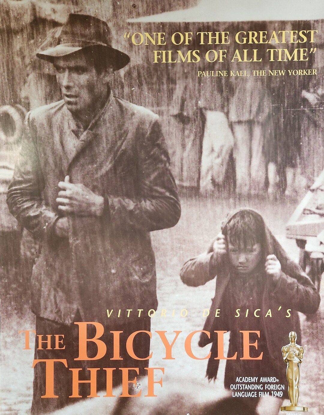 In post-war Italy, a working-class man's bicycle is stolen, endangering his efforts to find work. He and his son set out to find it.