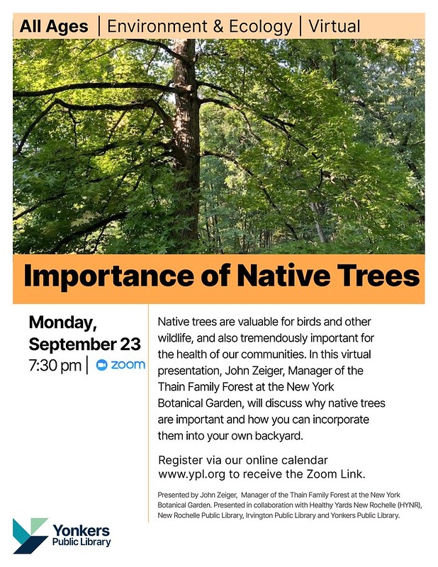 flyer of program with trees