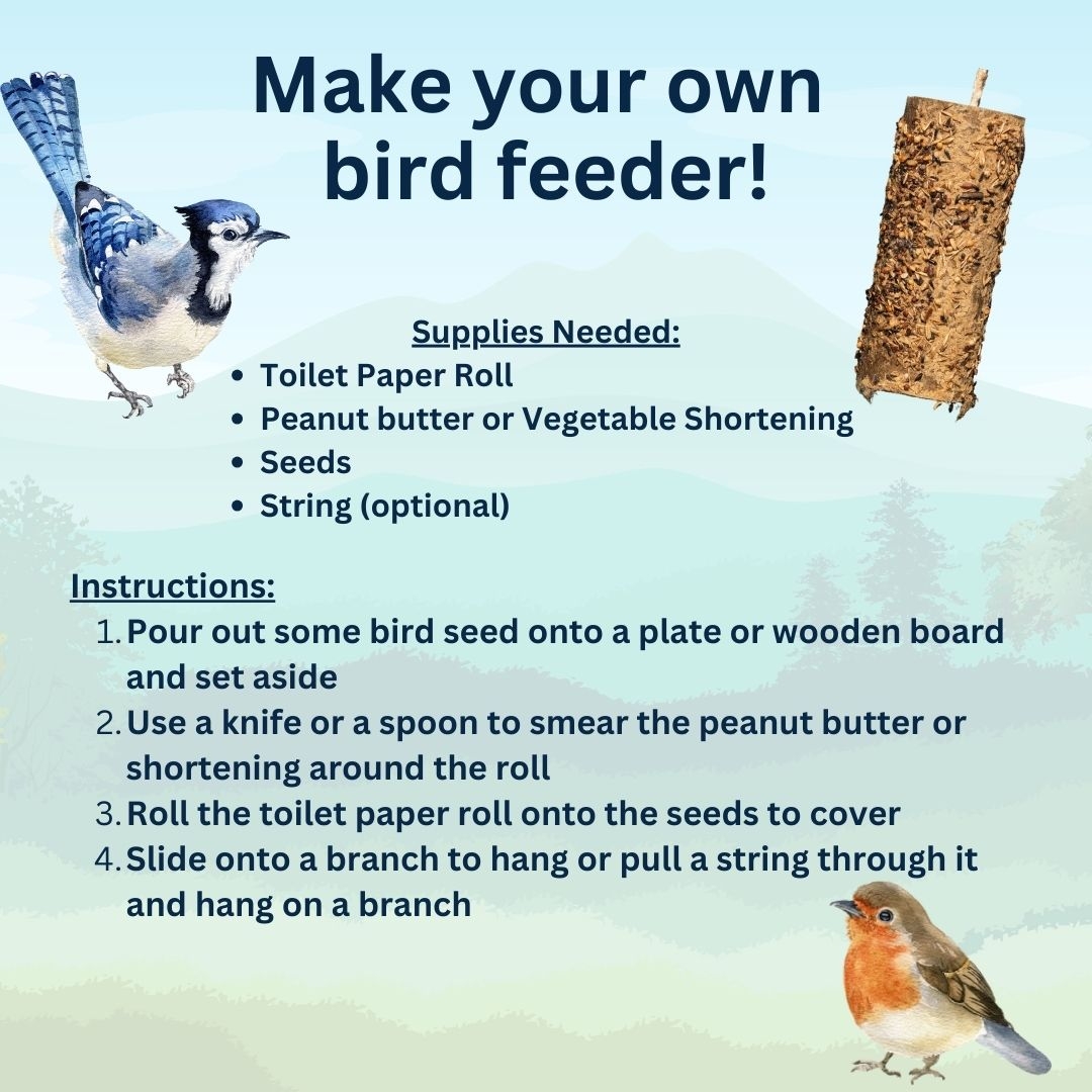 instructions to make your own birdfeeder